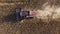 Harvesting sunflower. Combine crosses a field of sunflowers. vertical view from above