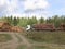 Harvesting timber logs in a forest in Russia