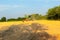 Harvesting in Ukraine combine harvester mows wheat in the field