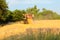 Harvesting in Ukraine combine harvester mows wheat in the field