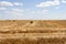 Harvesting wheat and agricultural farm scenic