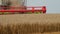 Harvesting wheat by combines in the field