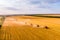 Harvesting wheat. eight red combine-harvester work in the field at sunset