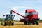 Harvesting wheat during the end of summer