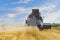 Harvesting wheat harvester on field