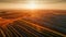 Harvesting wheat on tranquil farm, rolling landscape backlit by sunset generated by AI