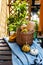 Harvesting wicker basket with organic pumpkins assortment