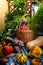 Harvesting wicker basket with organic vegetable assortment