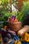 Harvesting wicker basket with organic vegetable assortment