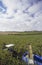 Harvesting wine grapes Mornington Peninsula Victoria Australia