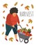 Harvesting. A woman carries various vegetables grown in her garden in a wheelbarrow. Hand-drawn flat cartoon vector