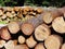 Harvesting of wood in the forest. The sawn logs lie in the woodpile. Heating of premises in the village. Industrial deforestation