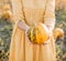 harvesting yellow pumpkins plantation woman countryside
