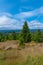 Harz Nationalpark, Germany.