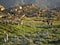 Hasankeyf ruins, Turkey