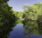 Hassayampa River Preserve, Wickenburg, Arizona