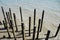 Hastings pier posts, England