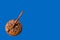 A hat of an acorn from above is isolated on a blue background
