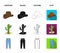 Hat, cactus, jeans, knot on the lasso. Rodeo set collection icons in cartoon,black,outline,flat style vector symbol