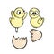 hatched chicks easter isolated illustration