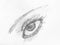 Hatched sketch of female eye hand drawn by pencil