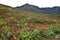 Hatcher Pass In the Talkeetna Mountains of Alaska