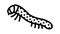 hatchlings silkworm line icon animation