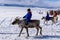 Hatgal, Mongolia, Febrary 25, 2018: Little tsaatan boys in traditional Mongolian riding on reindeers.