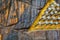 Hats of nails hammered into an old wooden board. Symbolism and abstraction. Macro. Shallow depth of field