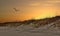 Hatteras Island Dunes Sunset on North Carolina Outer Banks