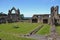 Haughmond Abbey view