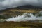 Haukadalur, The Valley Of The Geysers, Iceland