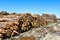 Haulroad, Entrance to the log yard