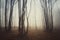 Haunted Halloween forest with fog and strange trees