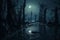 Haunted Swamp Moonlight Shadows Shadows cast on