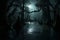 Haunted Swamp Moonlight Shadows Shadows cast on