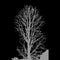 Haunted Tree. Victor EPS 10