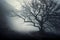 In a haunting, fog-shrouded landscape, a creepy tree stands