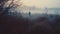 Haunting Images Of A Woman Walking In A Foggy Field