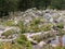 The Haut Chitelet garden on the route des crÃªtes in the French Vosges.