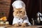 Havana Brown Cat Dressed As A Chef At Work