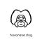 Havanese dog icon. Trendy modern flat linear vector Havanese dog