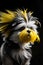 Havanese with a yellow mohawk on his head on a black background. Generative AI