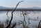 Havasu National Wildlife Refuge, eerie scene