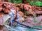Havasupai Falls, pools, blue water, geological formation rock walls