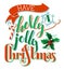 Have a Holly Jolly Christmas!