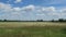 Havel river meadow in Havelland Brandenburg. Summer time and cloudscape.