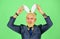 Having fun. Bearded man bunny ears on head. Funny boss. Bunny Easter symbol. Spring holidays celebration. Greetings