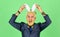 Having fun. Bearded man bunny ears on head. Funny boss. Easter activities for office. Businessman wear bunny costume