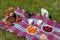Having a picnic on a green lawn. Purple blanket with plates of berries and fruits, teddy bear and a toy sheep.